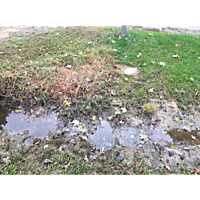 King tide Yorktown image